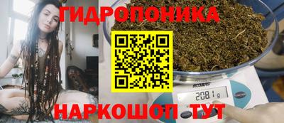прущие крисы Гатчина