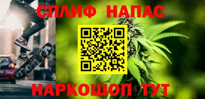 прущие крисы Гатчина