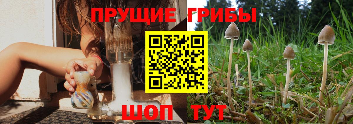 Галлюциногенные грибы мухоморы  Вход с VPN  Красногорск 